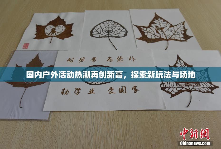 国内户外活动热潮再创新高，探索新玩法与场地
