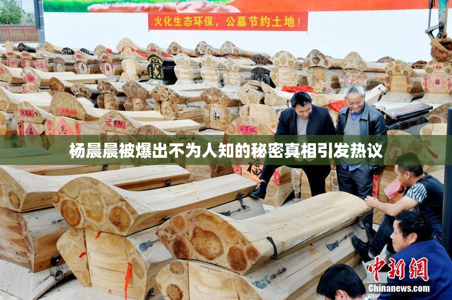 杨晨晨被爆出不为人知的秘密真相引发热议