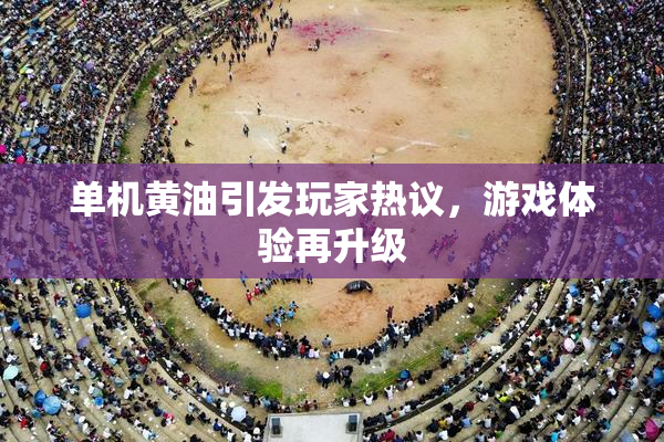 单机黄油引发玩家热议，游戏体验再升级