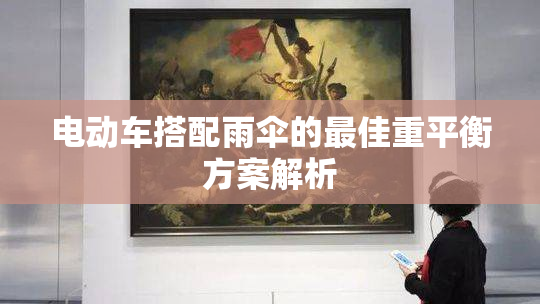电动车搭配雨伞的最佳重平衡方案解析