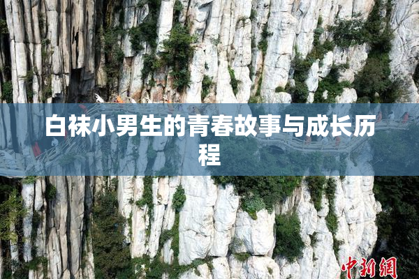白袜小男生的青春故事与成长历程