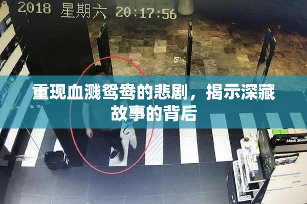 重现血溅鸳鸯的悲剧，揭示深藏故事的背后