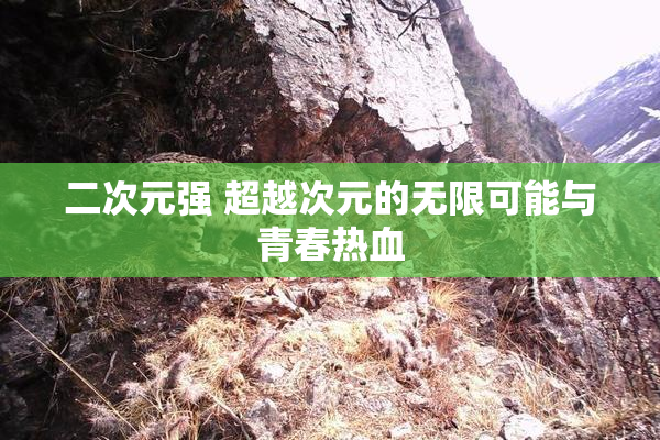 二次元强 超越次元的无限可能与青春热血