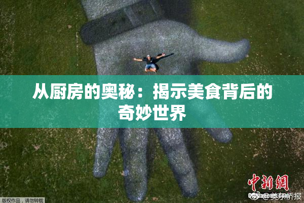 从厨房的奥秘：揭示美食背后的奇妙世界