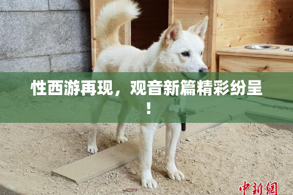 性西游再现，观音新篇精彩纷呈！