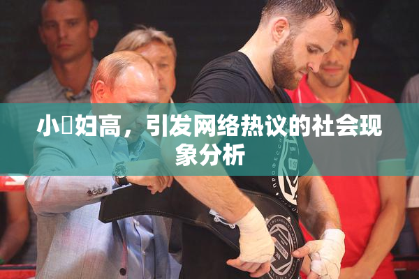 小婬妇高，引发网络热议的社会现象分析