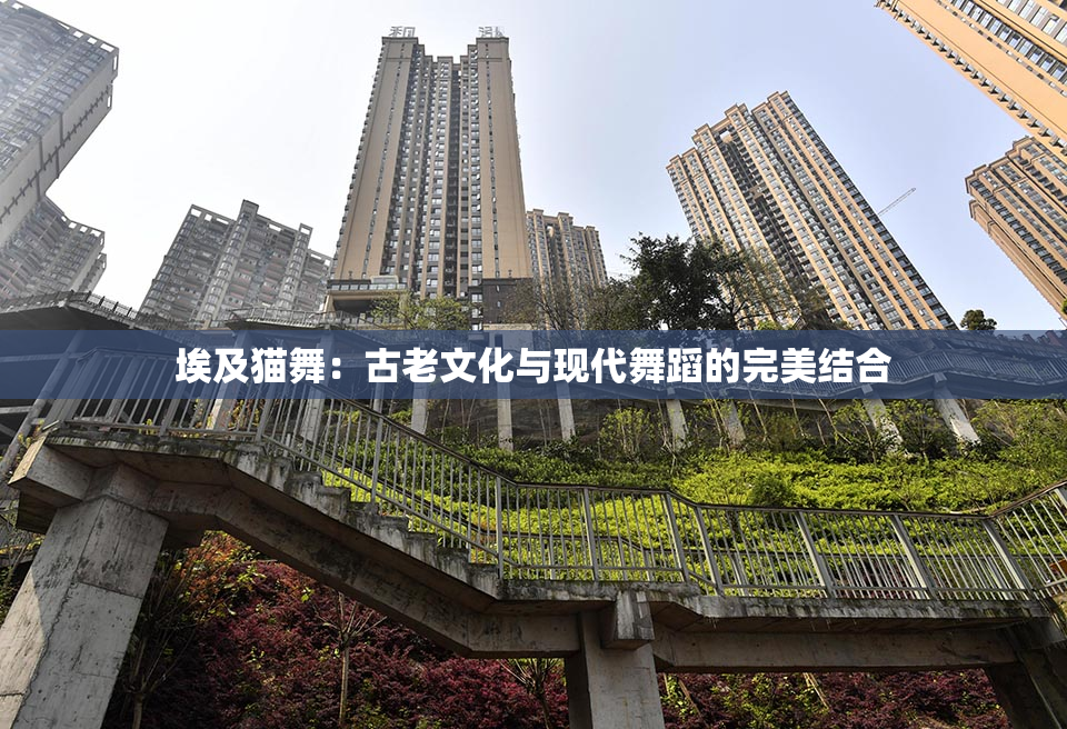 埃及猫舞：古老文化与现代舞蹈的完美结合
