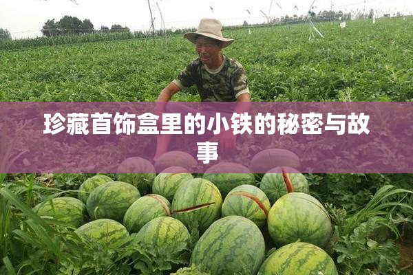 珍藏首饰盒里的小铁的秘密与故事