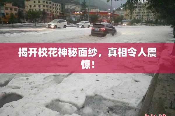 揭开校花神秘面纱，真相令人震惊！
