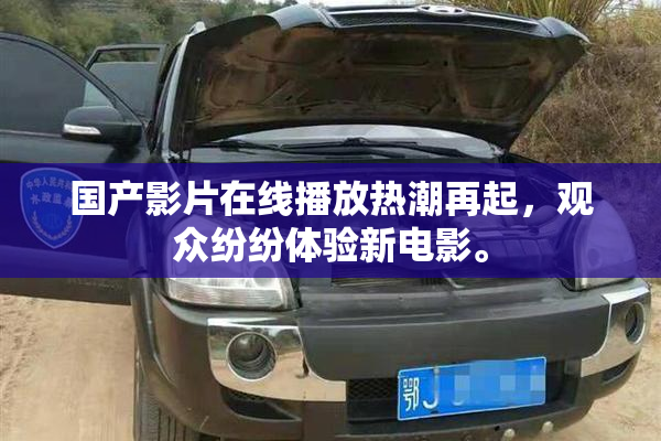 国产影片在线播放热潮再起，观众纷纷体验新电影。