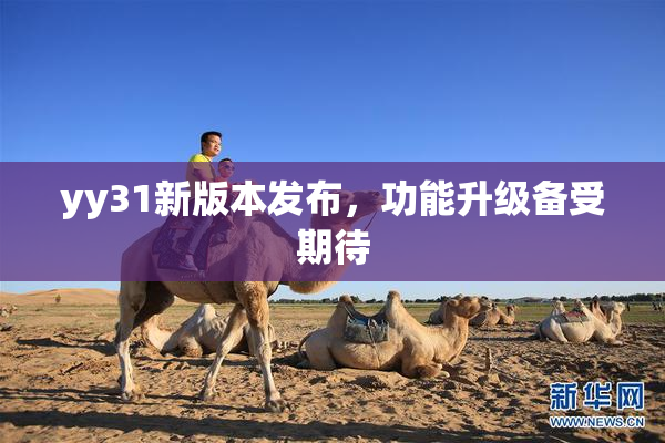 yy31新版本发布，功能升级备受期待