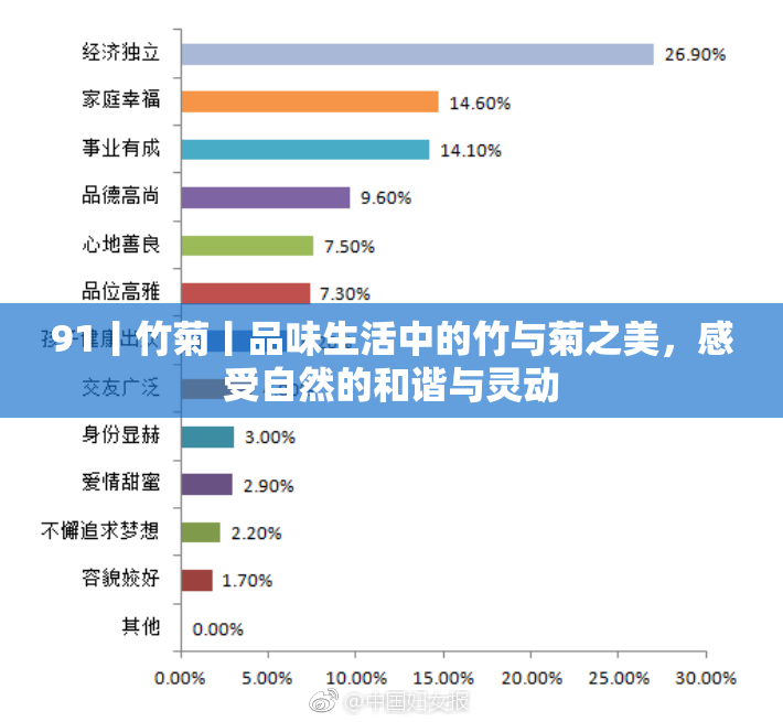 91丨竹菊丨品味生活中的竹与菊之美，感受自然的和谐与灵动