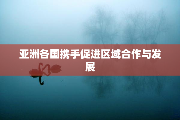亚洲各国携手促进区域合作与发展
