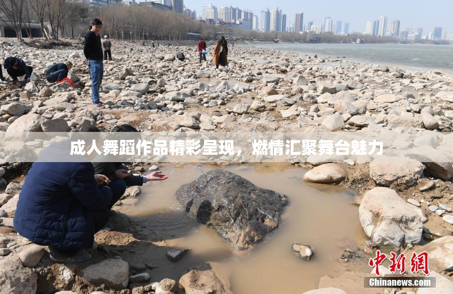 成人舞蹈作品精彩呈现，燃情汇聚舞台魅力
