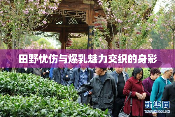 田野忧伤与爆乳魅力交织的身影