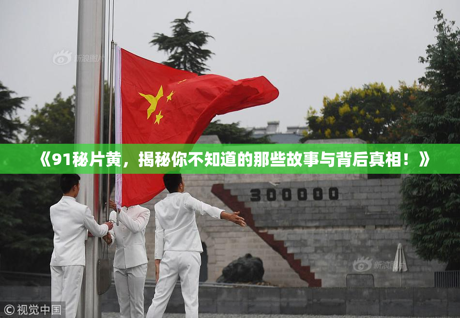 《91秘片黄，揭秘你不知道的那些故事与背后真相！》