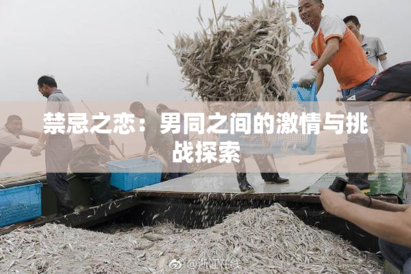 禁忌之恋：男同之间的激情与挑战探索