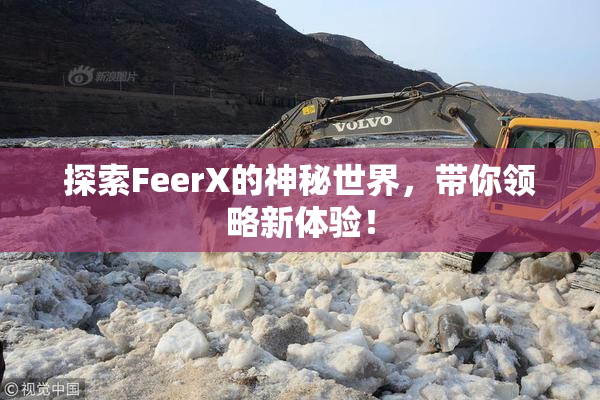 探索FeerX的神秘世界，带你领略新体验！