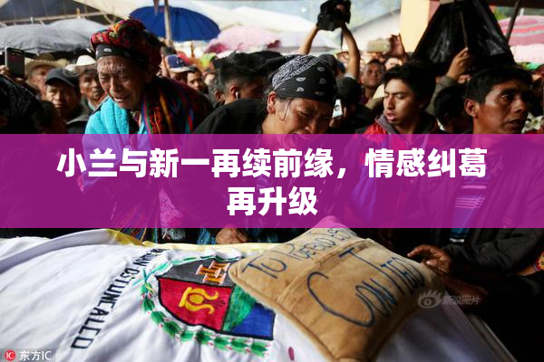 小兰与新一再续前缘，情感纠葛再升级