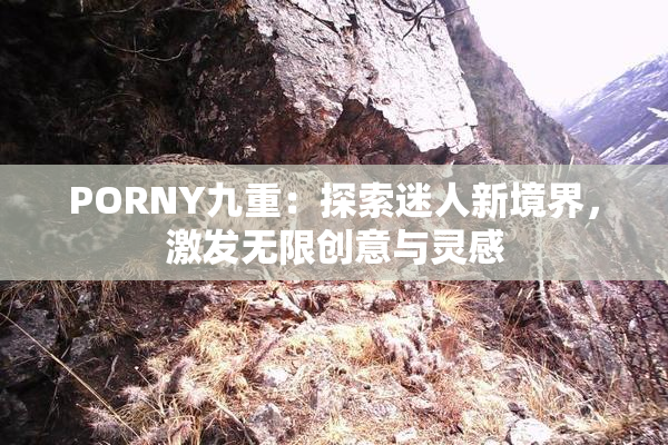 PORNY九重：探索迷人新境界，激发无限创意与灵感