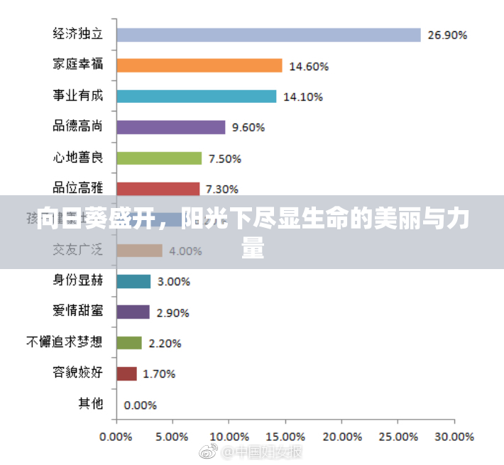 向日葵盛开，阳光下尽显生命的美丽与力量