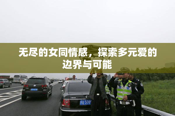无尽的女同情感，探索多元爱的边界与可能