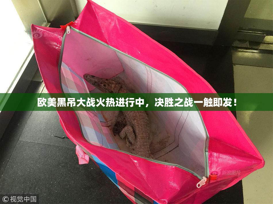 欧美黑吊大战火热进行中，决胜之战一触即发！