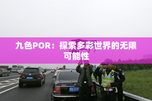 九色POR：探索多彩世界的无限可能性