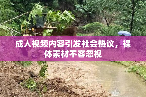 成人视频内容引发社会热议，裸体素材不容忽视