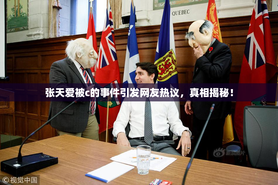 张天爱被c的事件引发网友热议，真相揭秘！