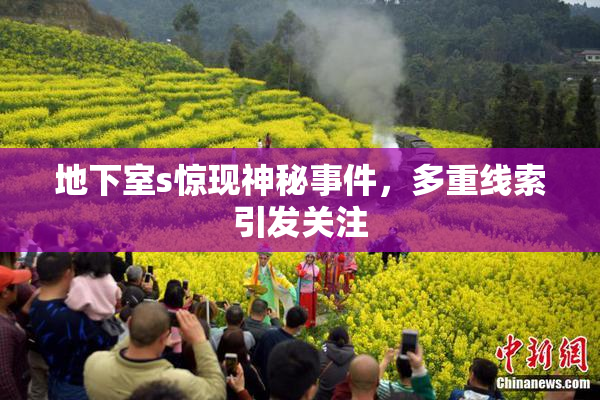 地下室s惊现神秘事件，多重线索引发关注