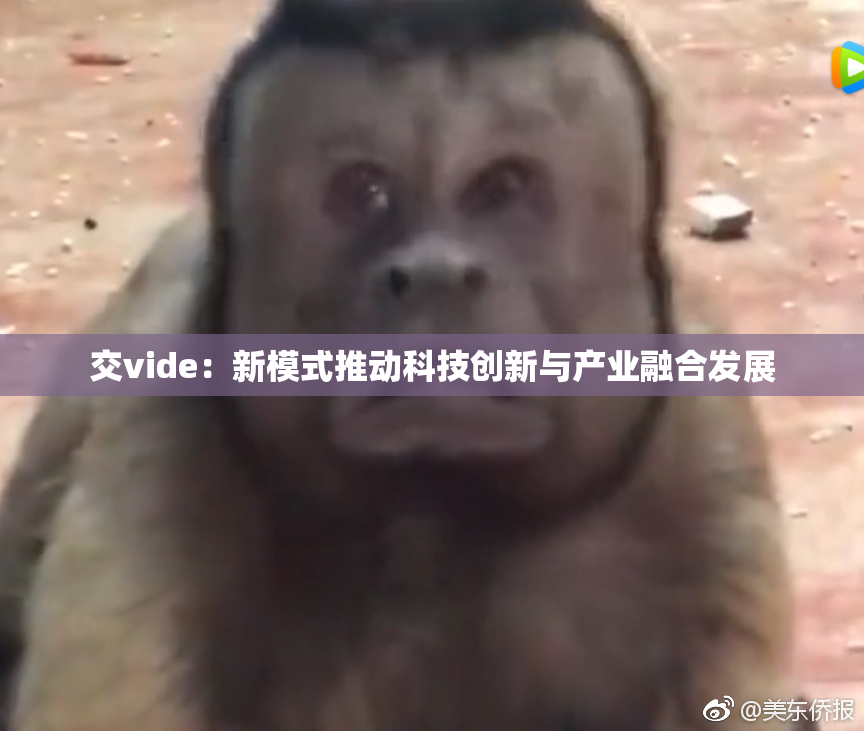 交vide：新模式推动科技创新与产业融合发展