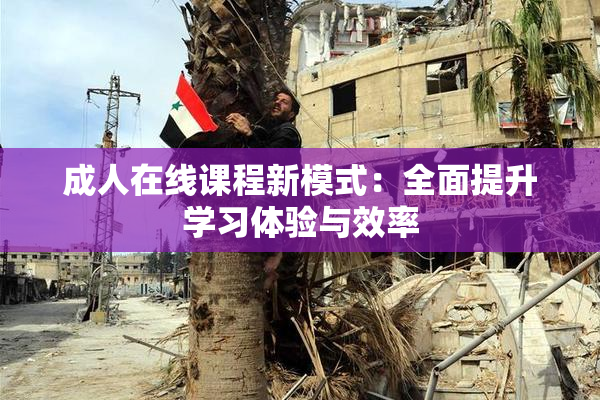 成人在线课程新模式：全面提升学习体验与效率