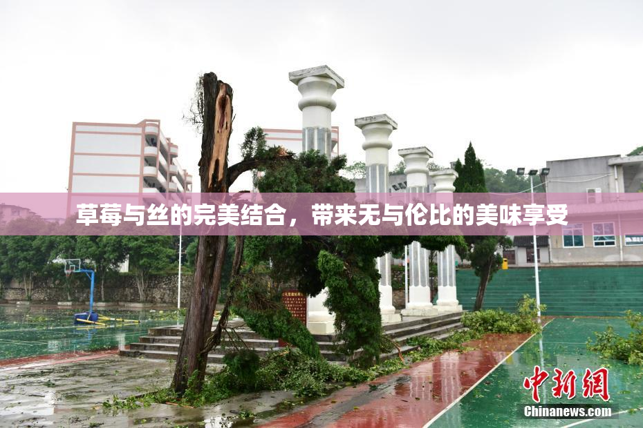 草莓与丝的完美结合，带来无与伦比的美味享受
