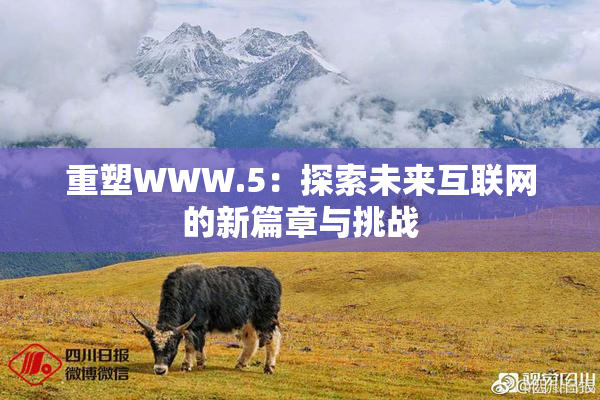 重塑WWW.5：探索未来互联网的新篇章与挑战