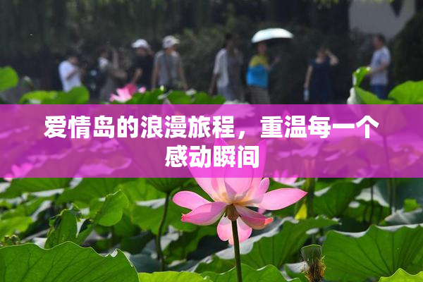 爱情岛的浪漫旅程，重温每一个感动瞬间