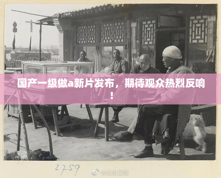 国产一级做a新片发布，期待观众热烈反响！