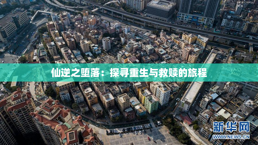 仙逆之堕落：探寻重生与救赎的旅程