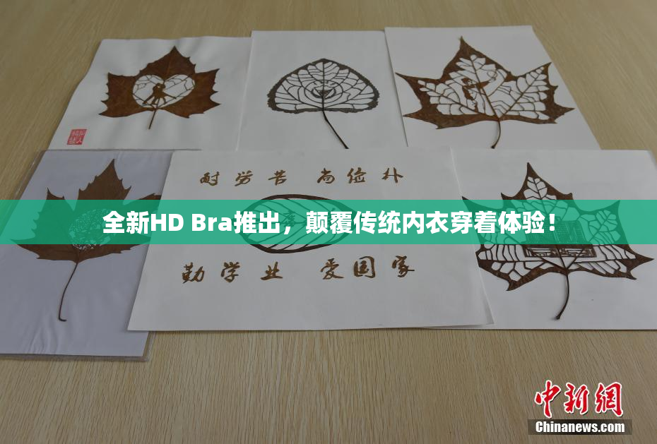 全新HD Bra推出，颠覆传统内衣穿着体验！