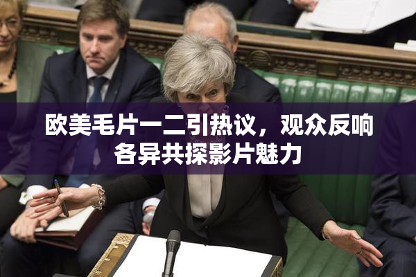 欧美毛片一二引热议，观众反响各异共探影片魅力