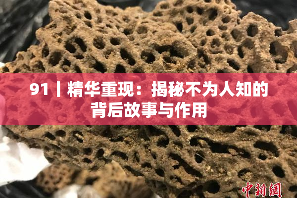 91丨精华重现：揭秘不为人知的背后故事与作用