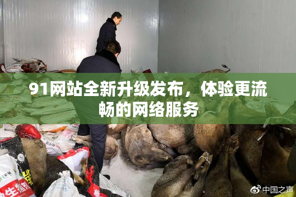 91网站全新升级发布，体验更流畅的网络服务