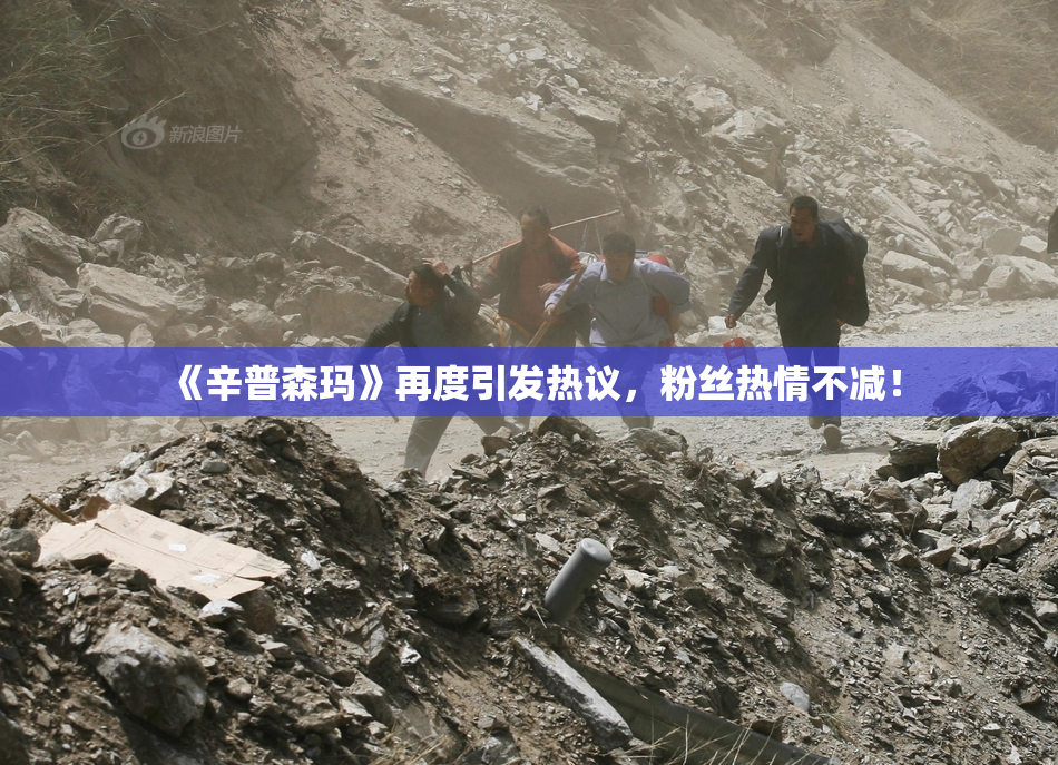 《辛普森玛》再度引发热议，粉丝热情不减！