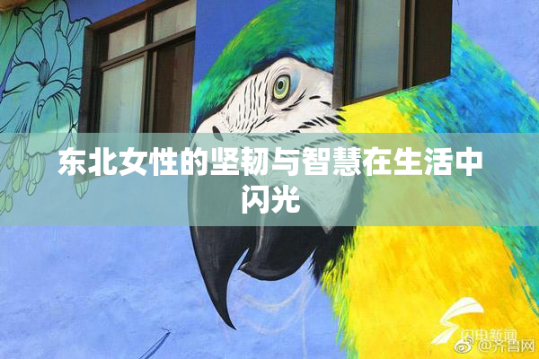 东北女性的坚韧与智慧在生活中闪光