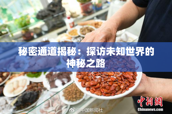 秘密通道揭秘：探访未知世界的神秘之路
