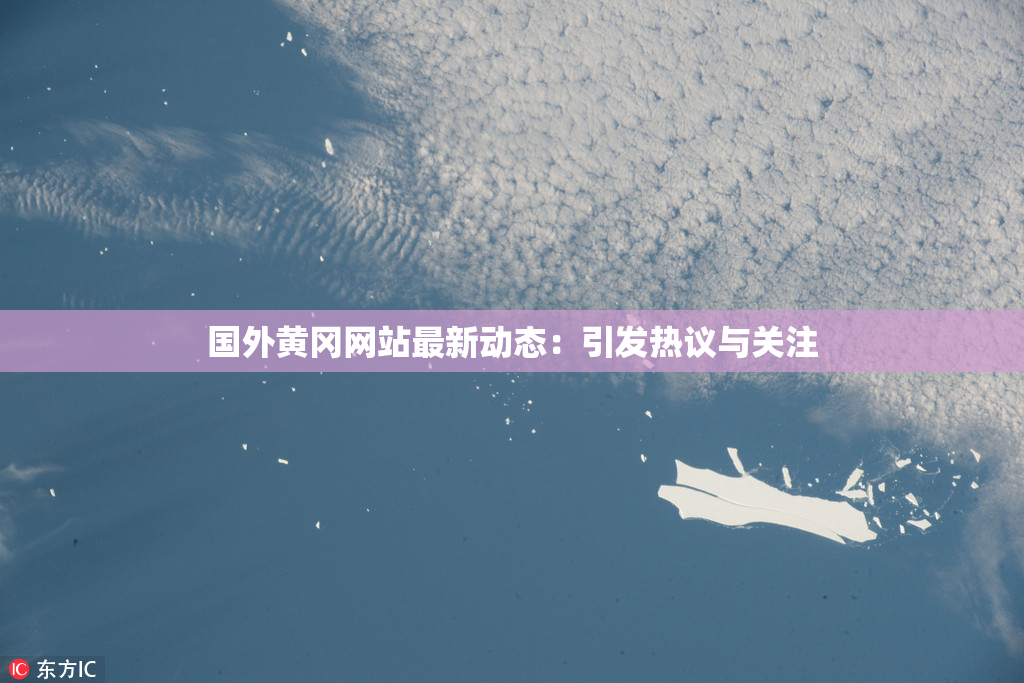 国外黄冈网站最新动态：引发热议与关注