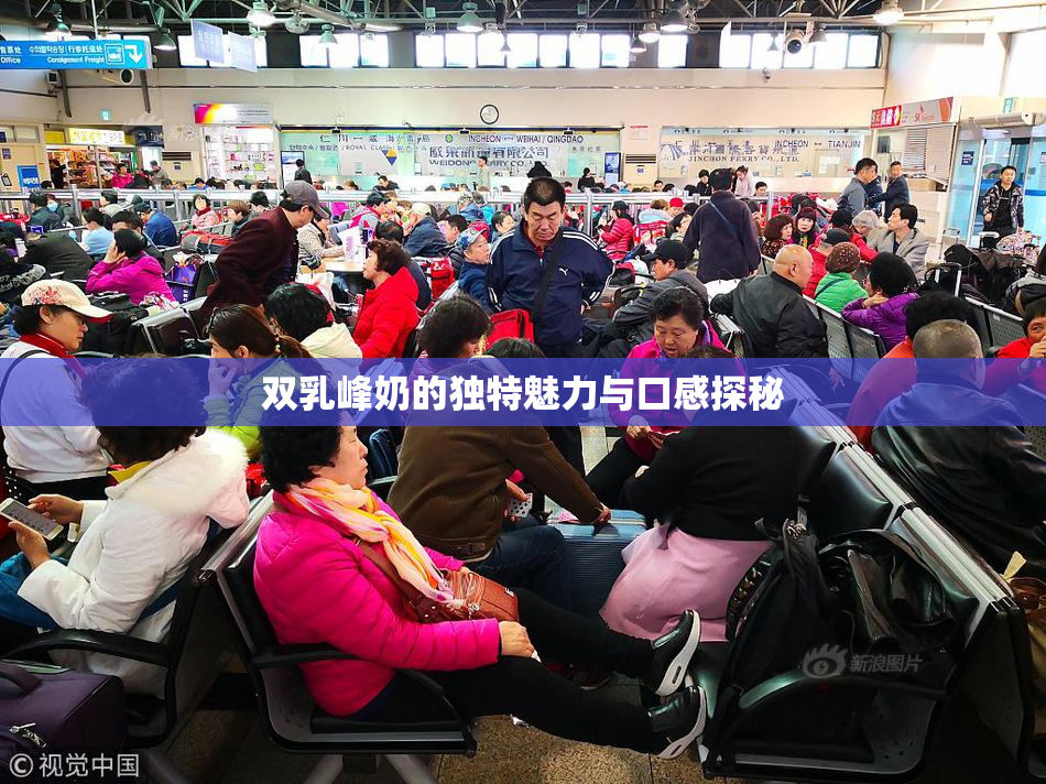 双乳峰奶的独特魅力与口感探秘