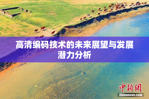 高清编码技术的未来展望与发展潜力分析