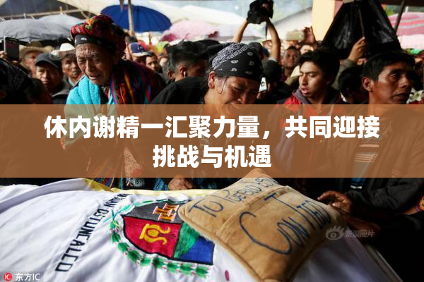 休内谢精一汇聚力量，共同迎接挑战与机遇