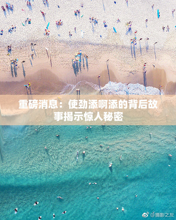 重磅消息：使劲添啊添的背后故事揭示惊人秘密